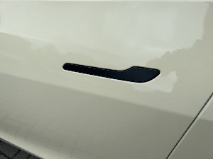 Tesla Model Y Taxi